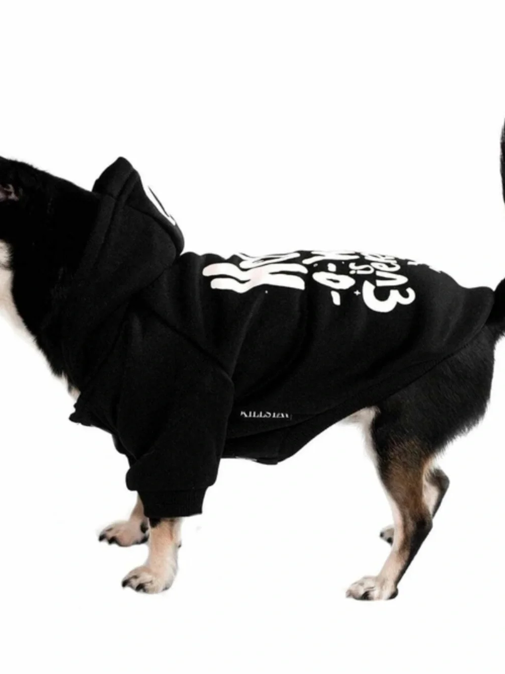 Killstar Howl O Ween is Everyday Pet Hoodie Size XL